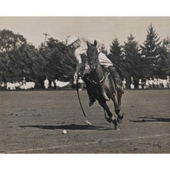 Thomas Hitchcock, Jr (On Perdita) The World's Greatest Polo Player 10 Goals for