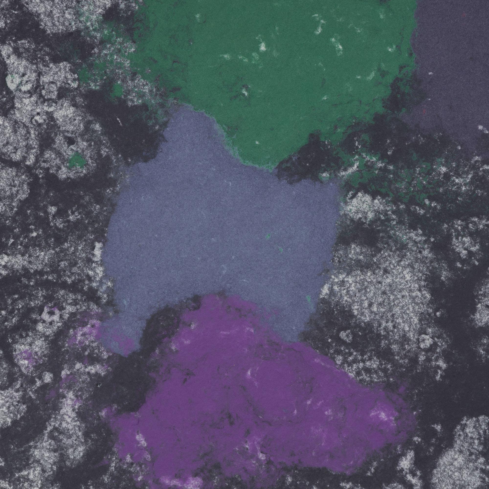 Black Tondo For Sale 3