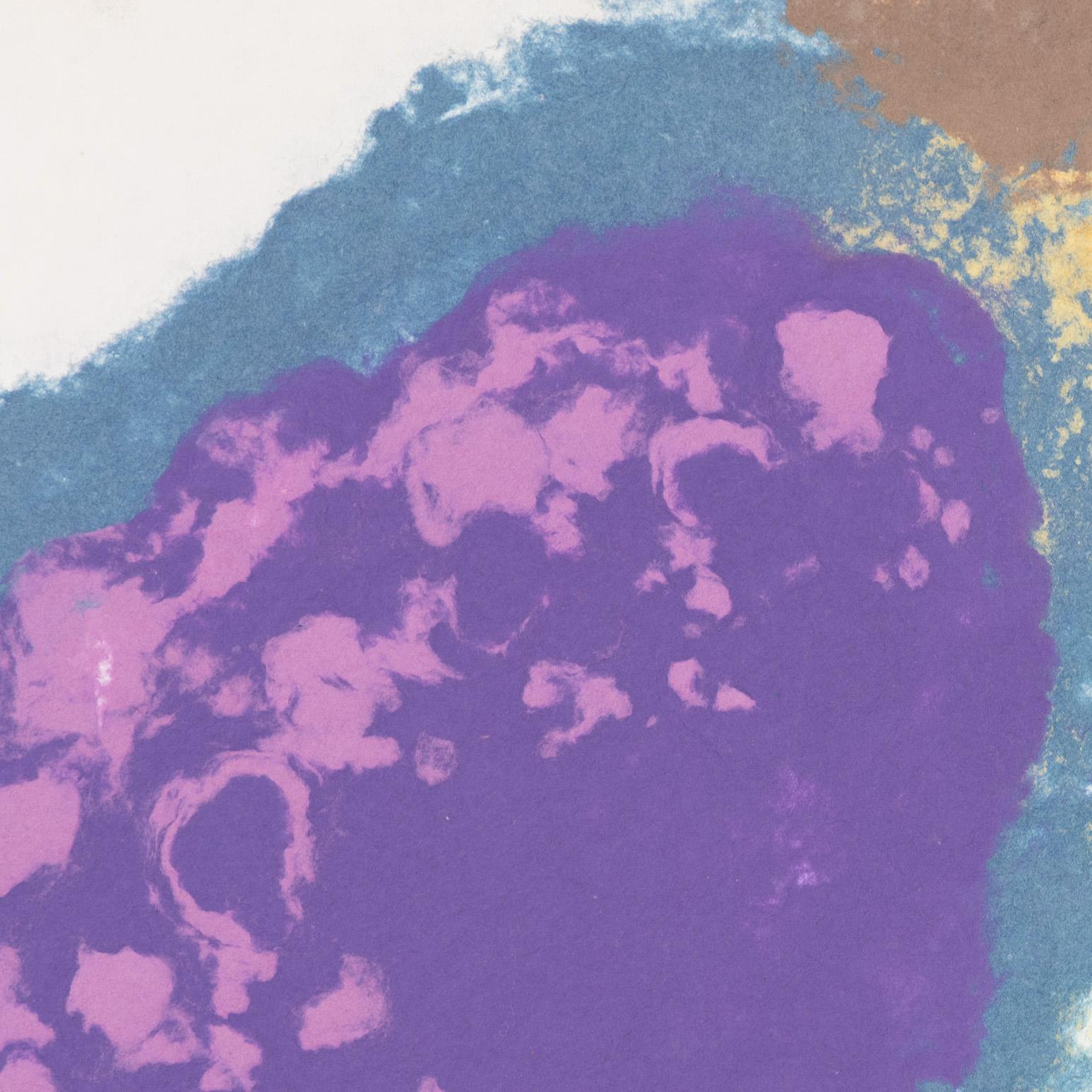 Untitled (Islands) For Sale 7