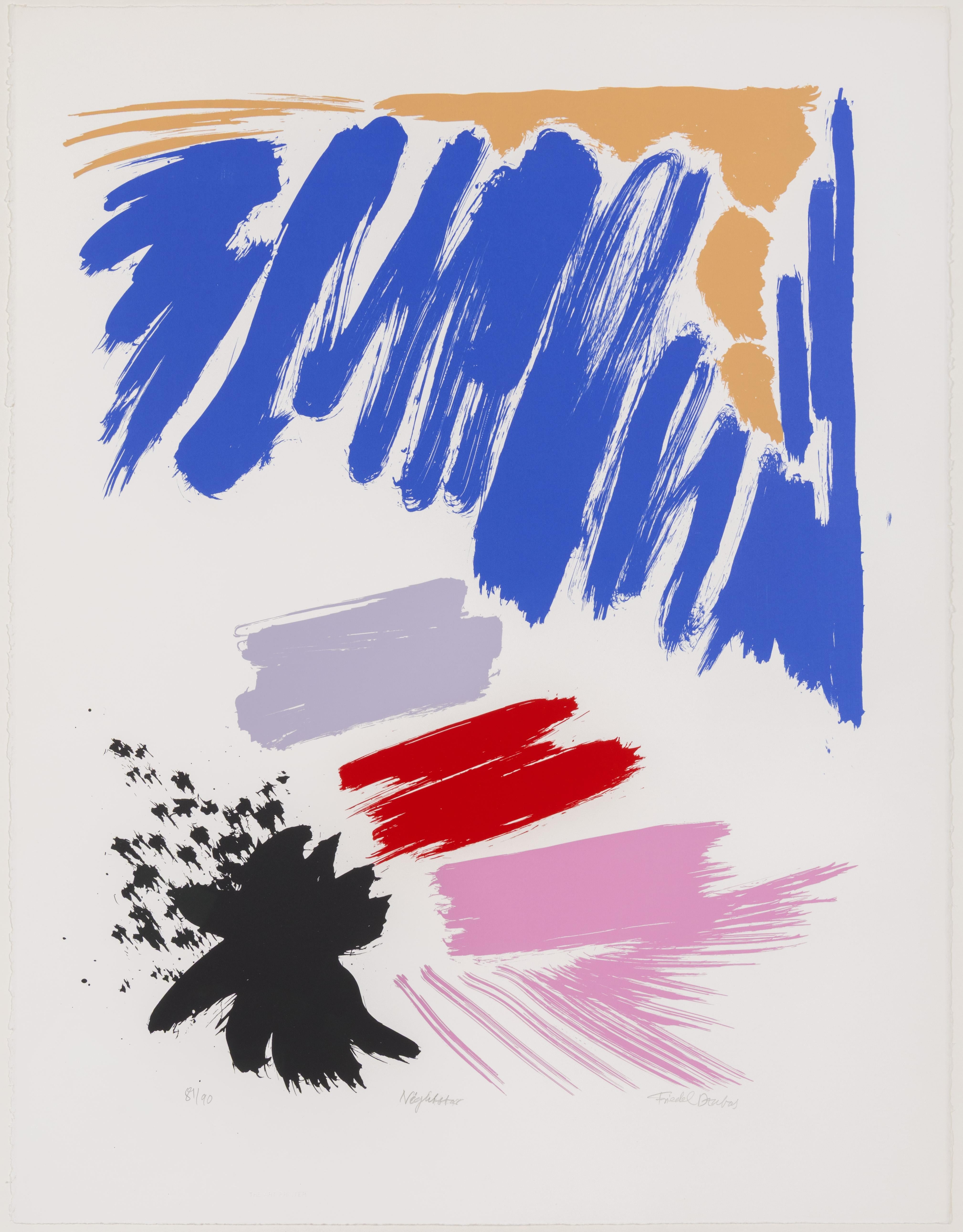 Night Star For Sale 12