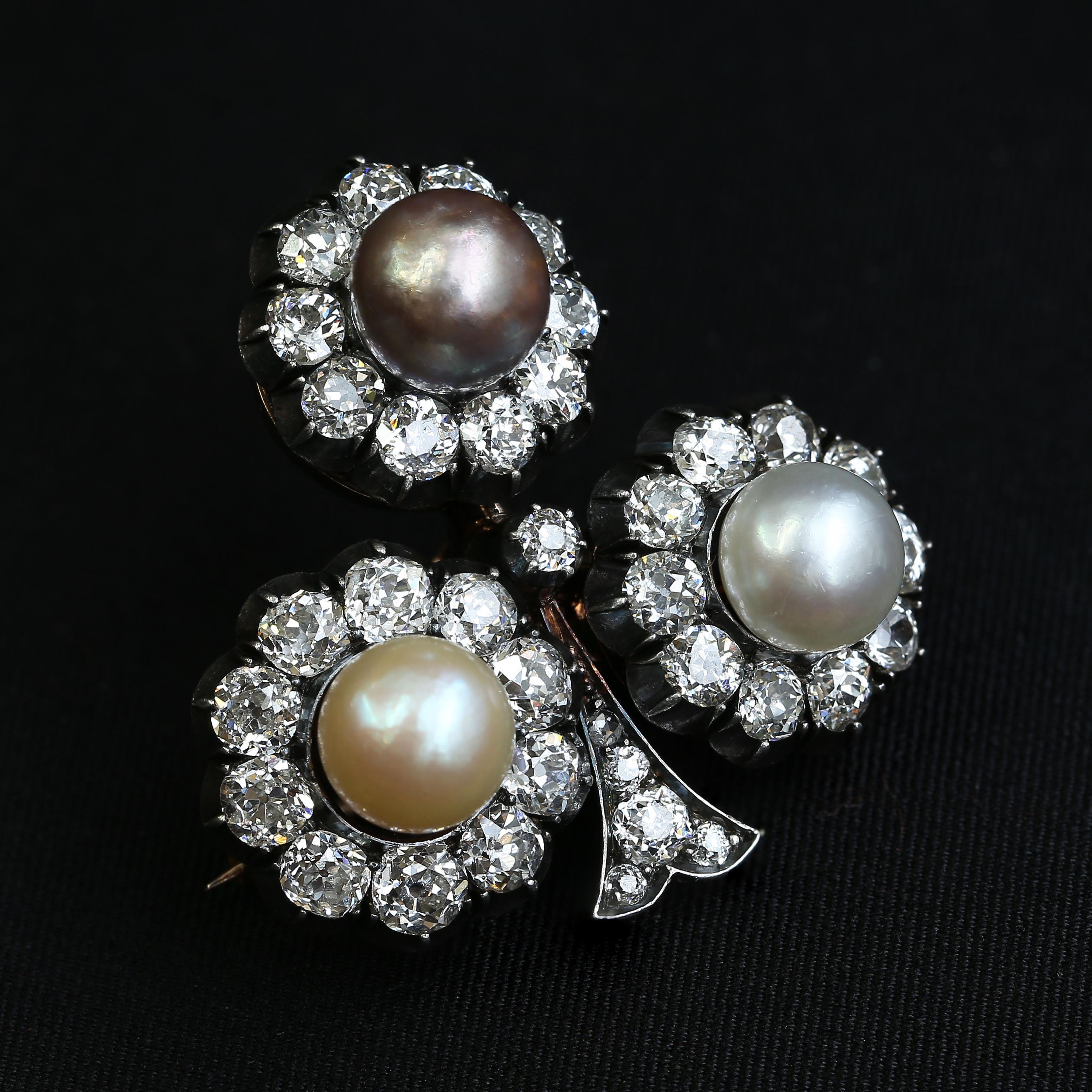 Friedrich Köchli Pearl and Diamond Clover Brooch For Sale 1