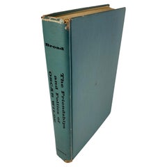 Amicizie e follie di Oscar Wilde Libro
