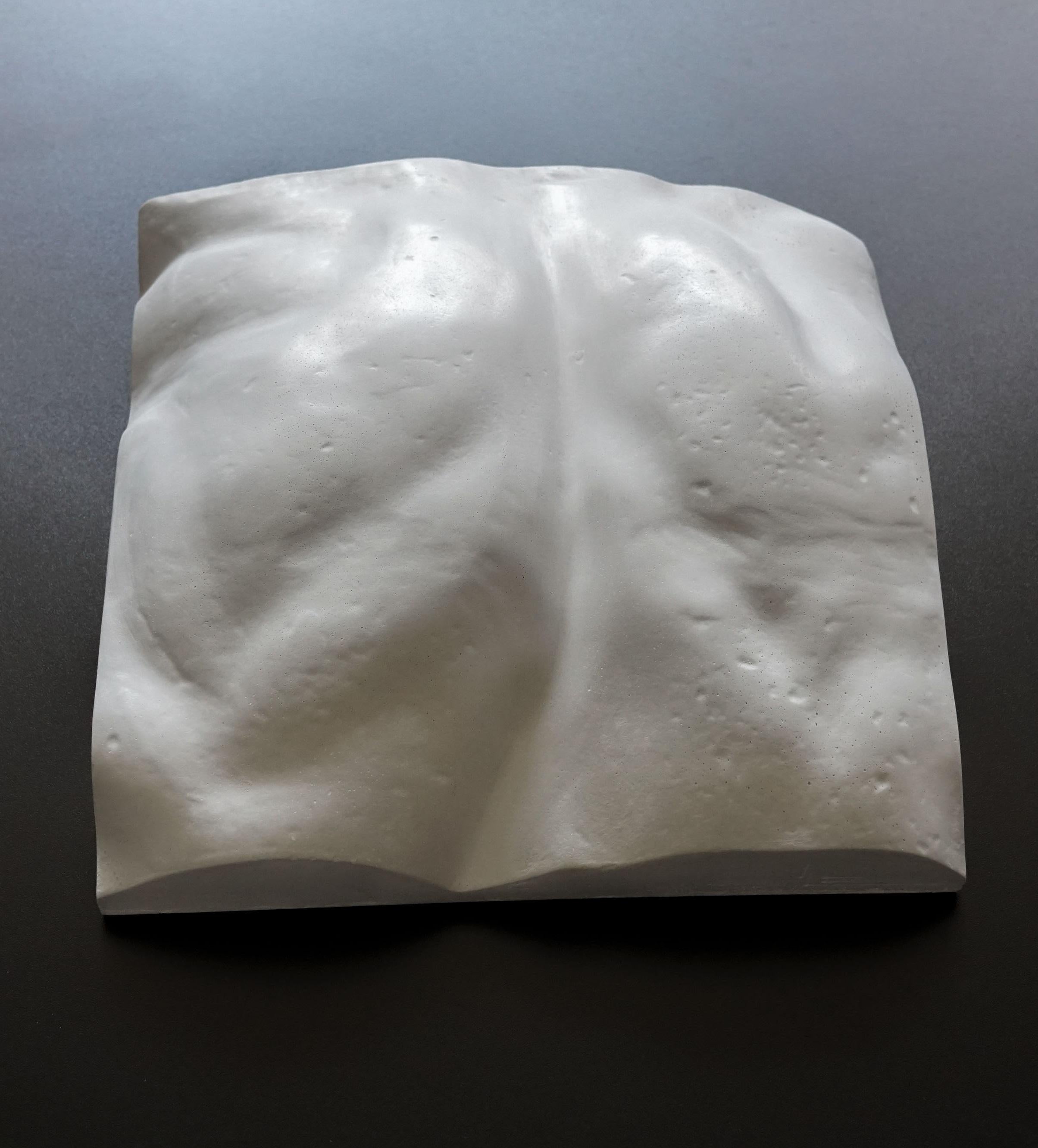 Aus extrem detaillierten 3D-Scans der wichtigsten klassischen Skulpturen aller Zeiten hat Eduard Locota den wesentlichen Teil des Kunstwerks digital ausgeschnitten und extrahiert, um ihn dann physisch in einer neuen, für das XX.
Eduard Locota