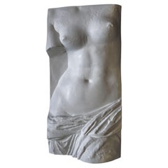 FRIEZE - Venus - Contemporary Art Decorative Sculpture by Eduard Locota