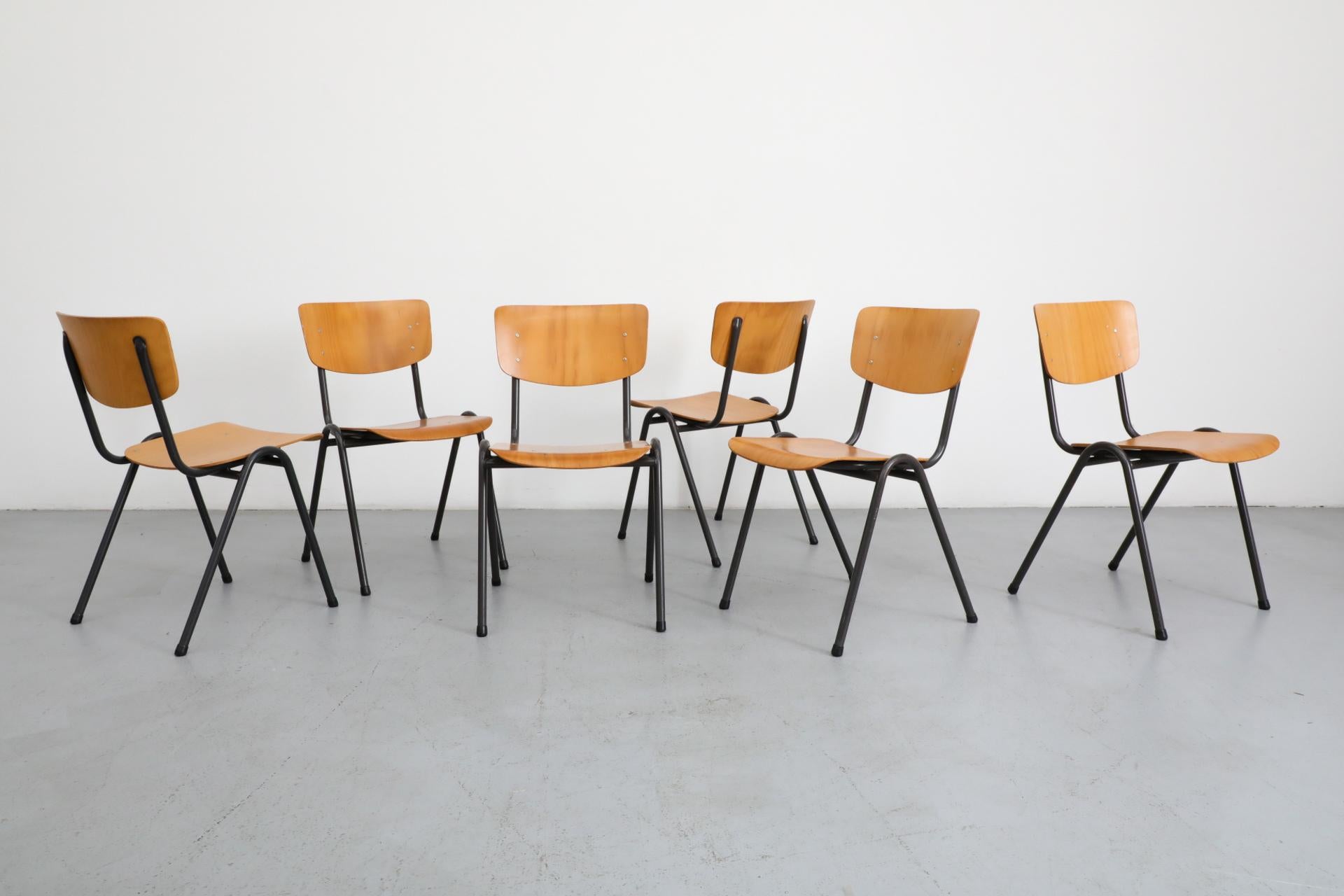 Beautiful molded blonde plywood dining chairs on almost black enameled metal frames. Perfect for bistros and restaurants as well as your home dining. In original condition with visible wear consistent with their age and use. Sold individually. Lead