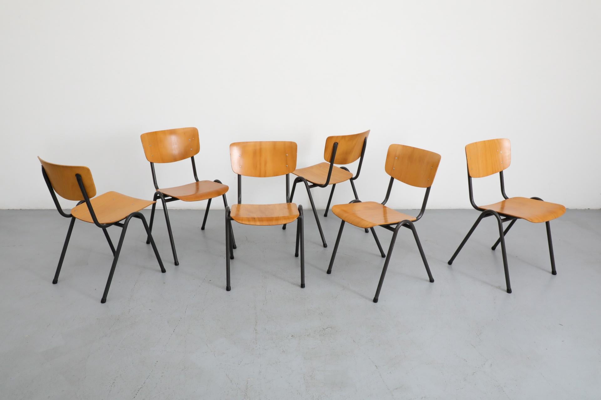 Dutch Friso Kramer Style Molded Blonde Plywood Industrial Stacking Chairs For Sale