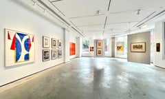 Blue Line Transformation