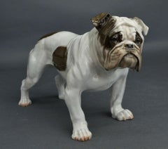 Grande bulldog inglese in porcellana, opera di Fritz Diller. Rosenthal. 21x33x15 cm. Firmato