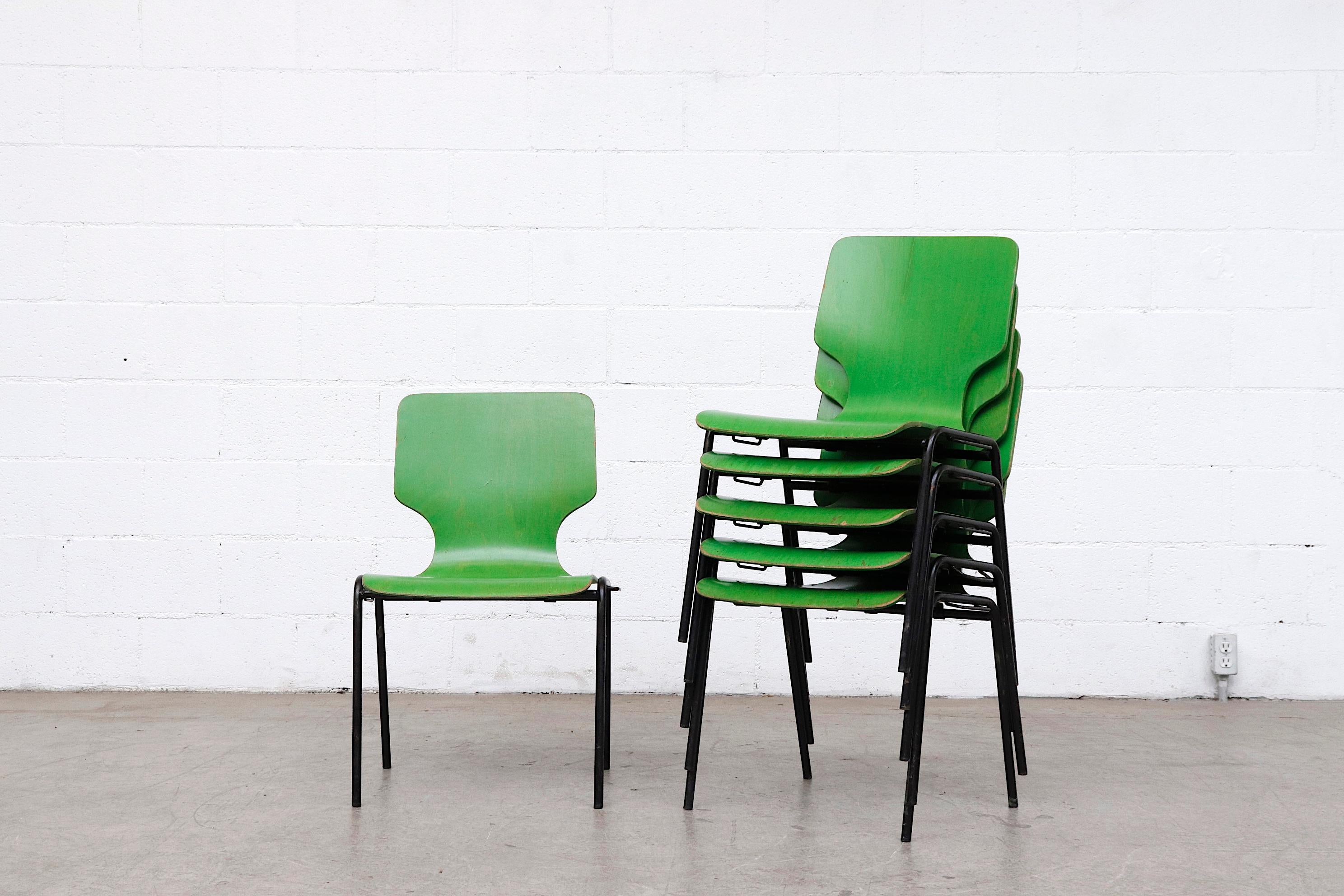 Fritz Hansen style green stained plywood seat with black enameled metal frames and side hooks that enable them to connect into rows. In original condition with visible wear and chipping. Lead time from time of order is 10 days.