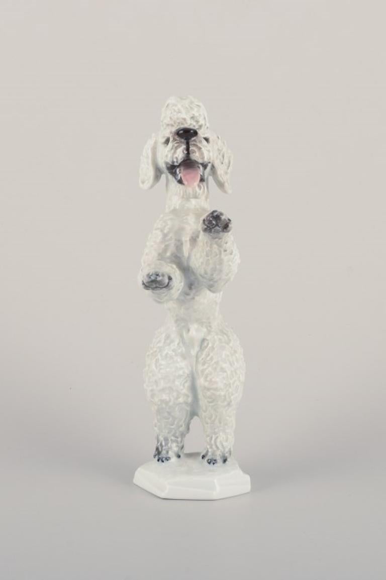 German Fritz Heidenreich for Rosenthal. Large standing porcelain poodle. Approx. 1930s For Sale
