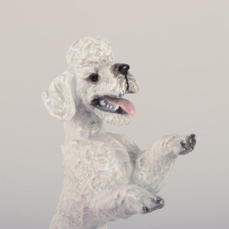 Fritz Heidenreich for Rosenthal. Large standing porcelain poodle. Approx. 1930s In Excellent Condition For Sale In Copenhagen, DK