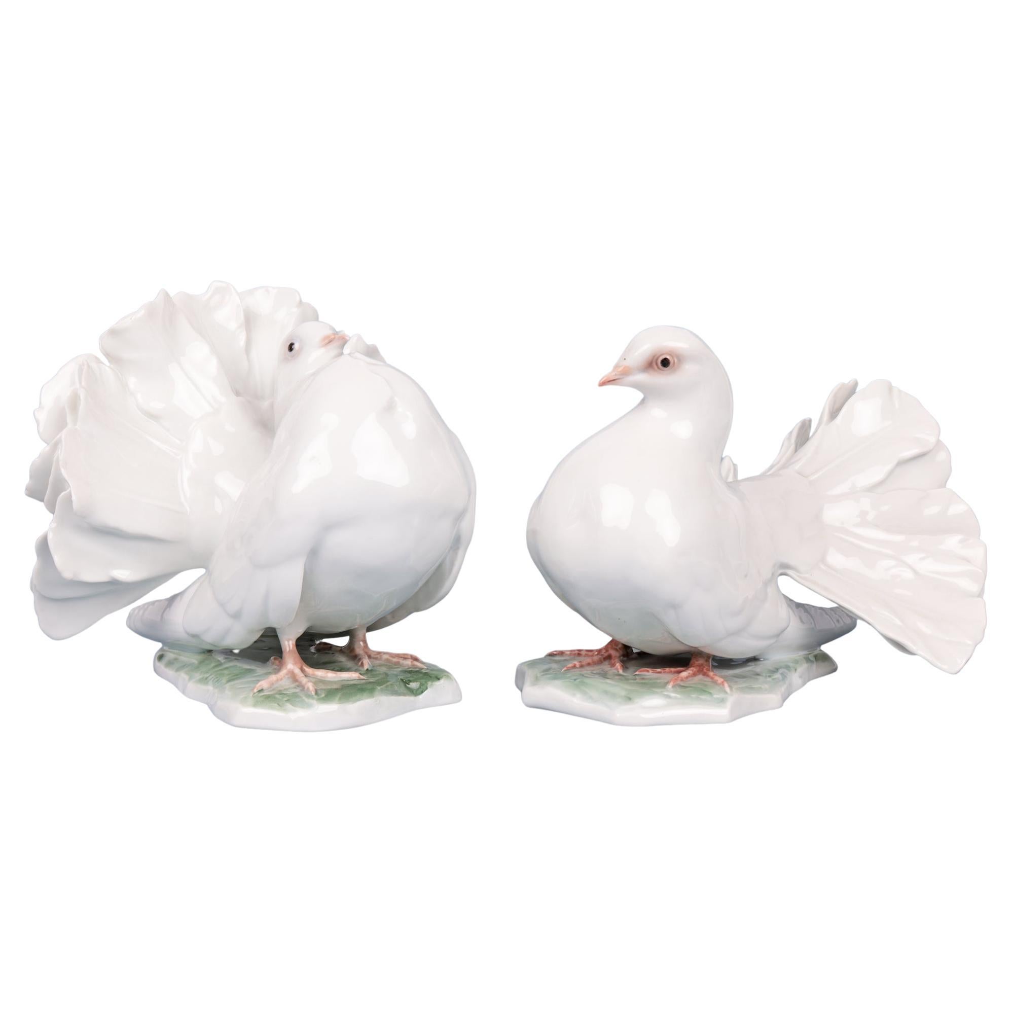 Fritz Heidenreich Rosenthal Mid-Century Large Pair Porcelain Doves For Sale