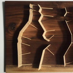 Fritz Horstman, Cinco paredes con aberturas, 2016, Madera, Nogal