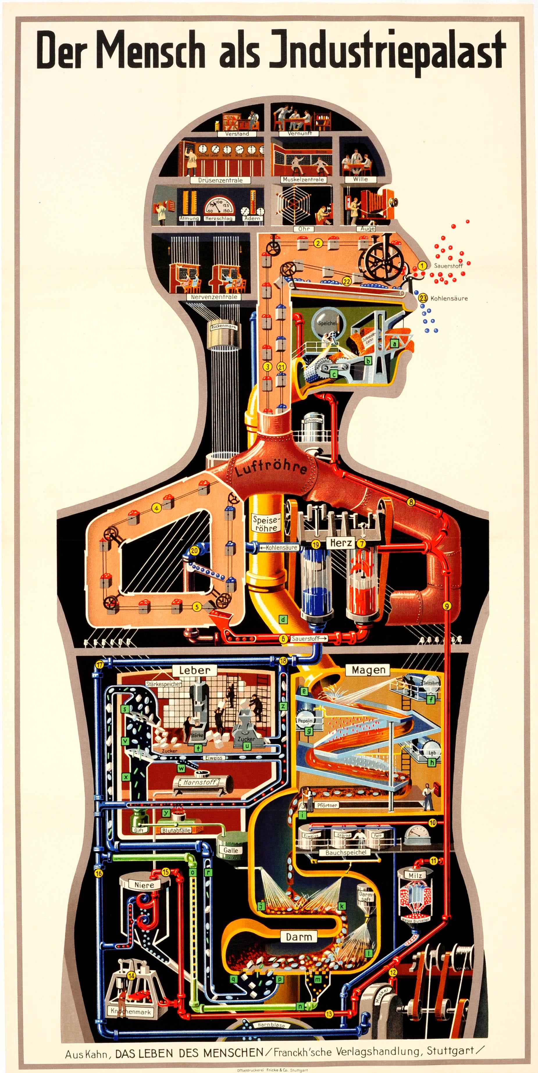 Fritz Kahn Print - Original Vintage Graphic Poster Der Mensch Als Industriepalast Ft Industrial Man