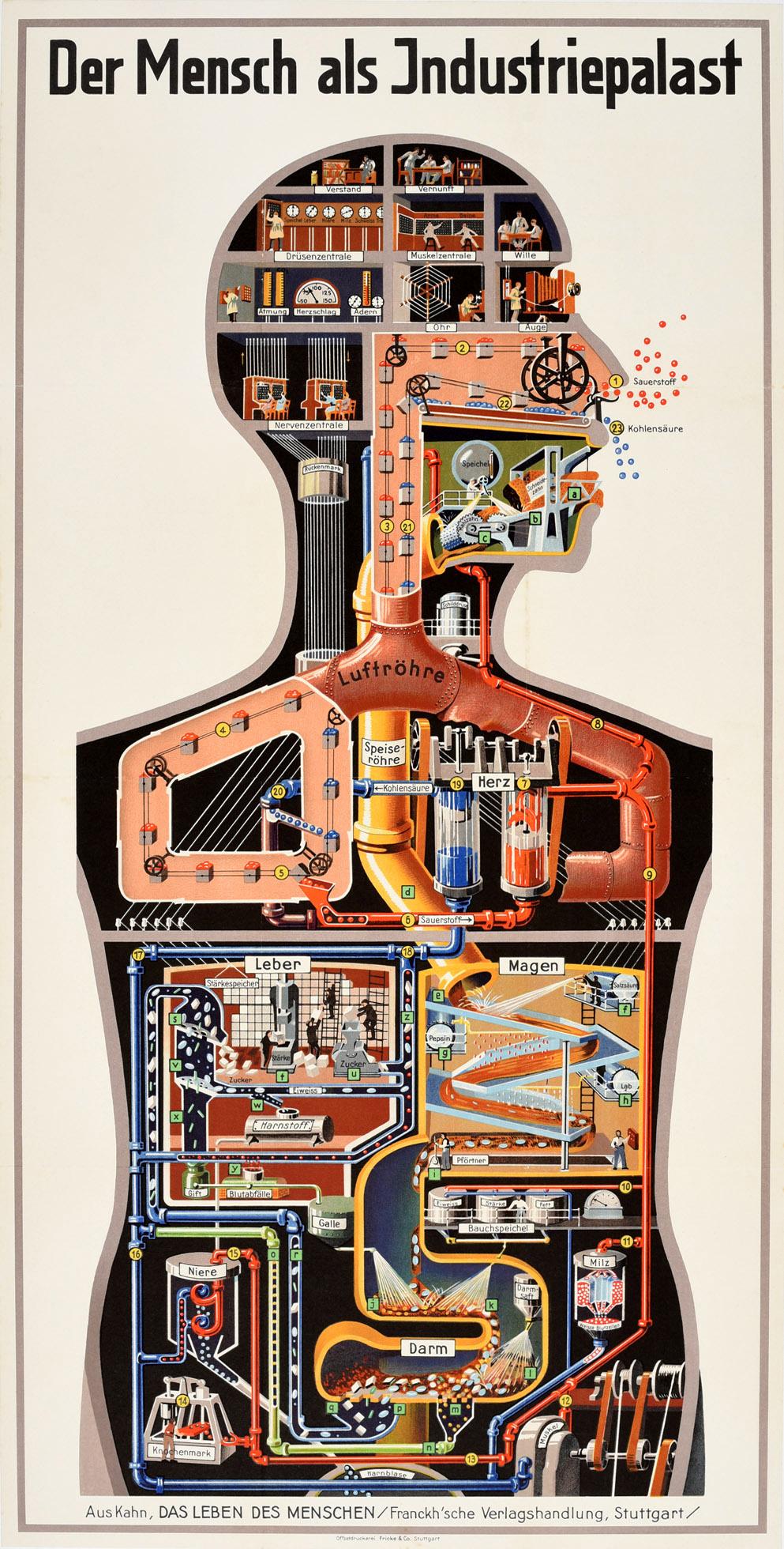Fritz Kahn Print - Original Vintage Poster Der Mensch Als Industriepalast Man As Industrial Palace