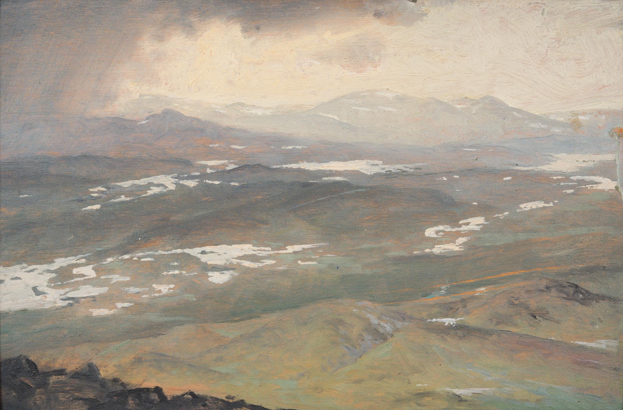 Mountain Landscape (Pyrenees) 1928 - Realist Painting by Fritz Lindström