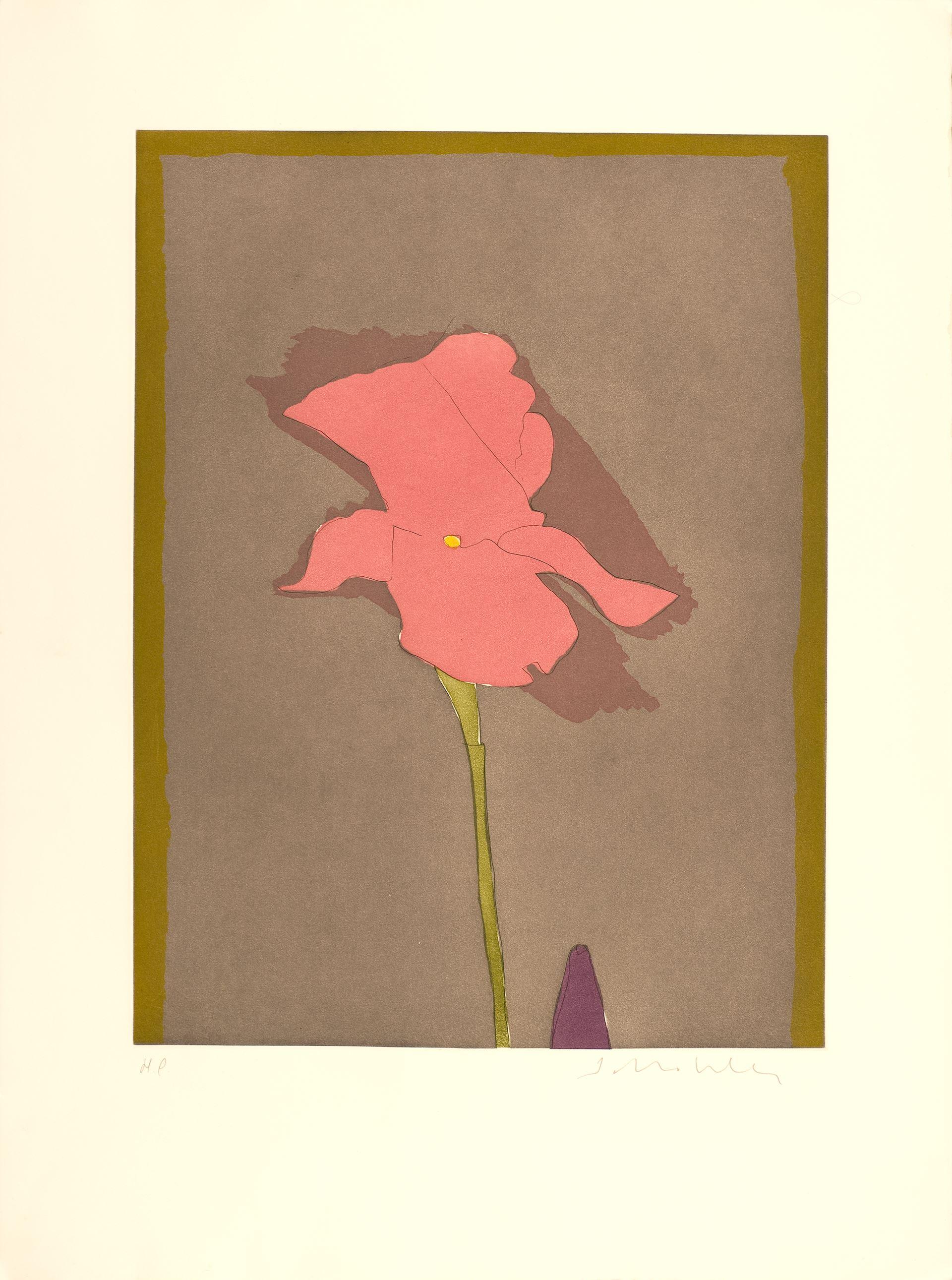 Fritz Scholder (United States, 1937-2005)
'Flower al giverney - 2', 1982
engraving on paper
30 x 22.1 in. (76 x 56 cm.)
ID: SCH1341-001-000
Unframed