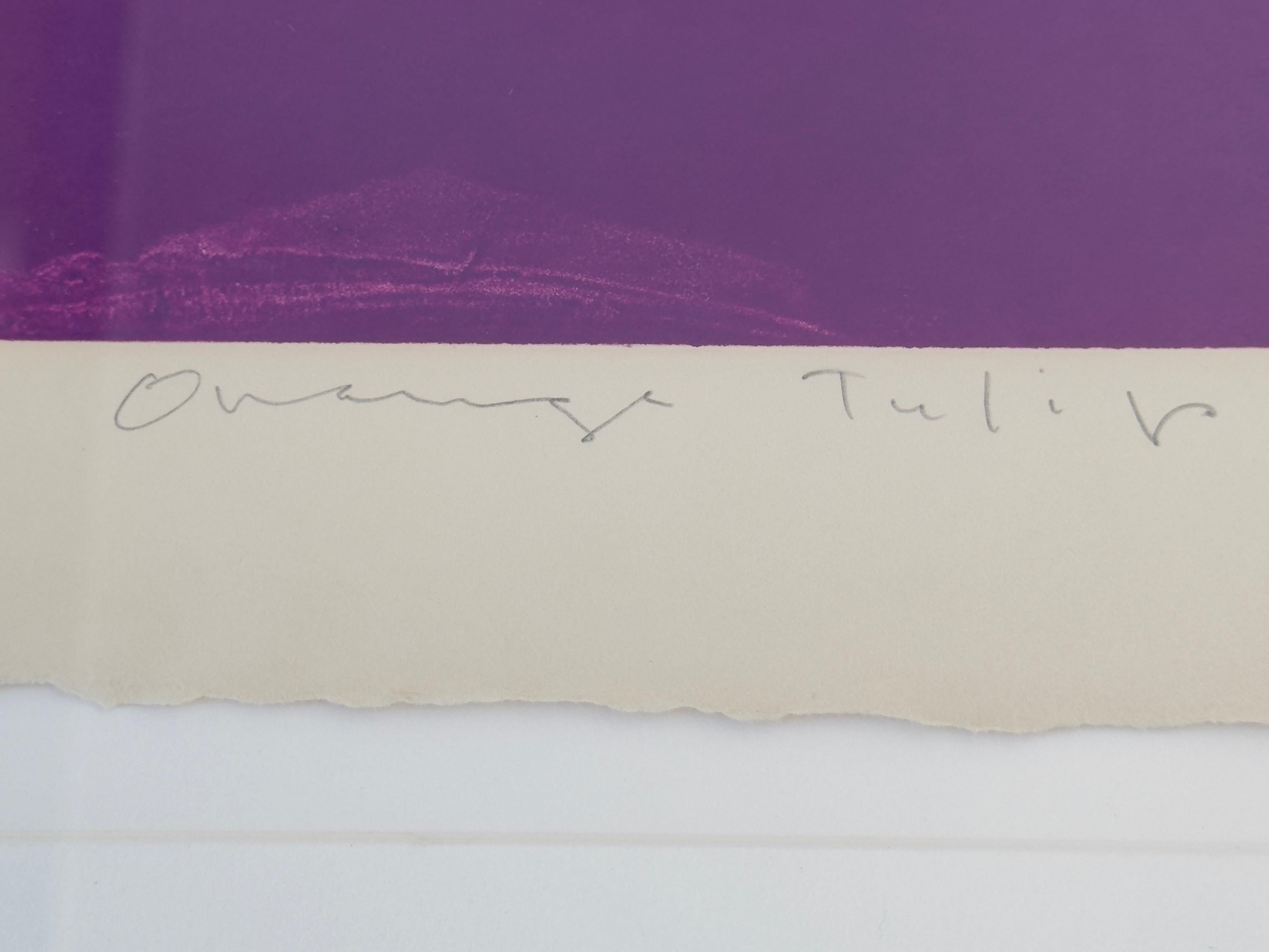 Orangefarbene Tulpe 
Farbmonotypie, handgeschöpftes Archivpapier, mit Bleistift signiert und betitelt 
Papierformat 40,5x31 Zoll mit Rahmen 49x38,5x1/25
gedruckt: Joseph M. Segura von der Print Research Facility, School of Art, Arizona State