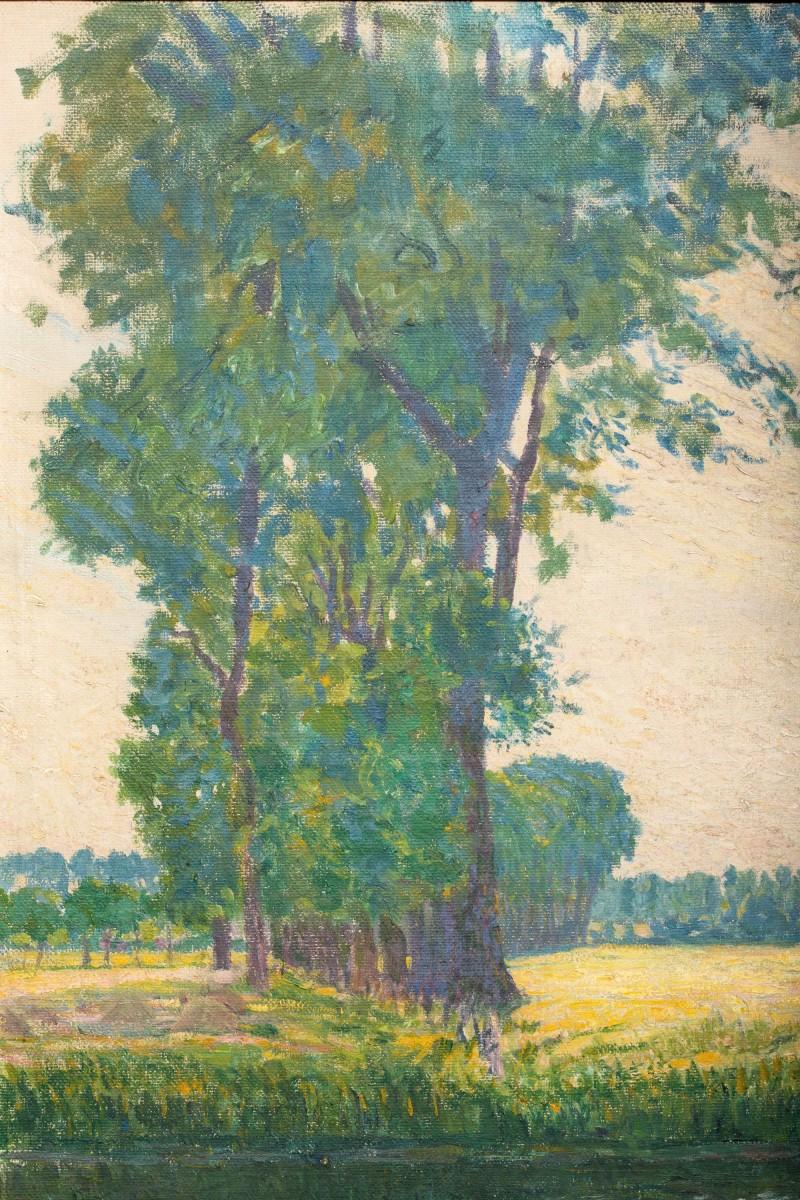 Veduta di Afsnee di Fritz Van Loo (1871-1957) in vendita 5