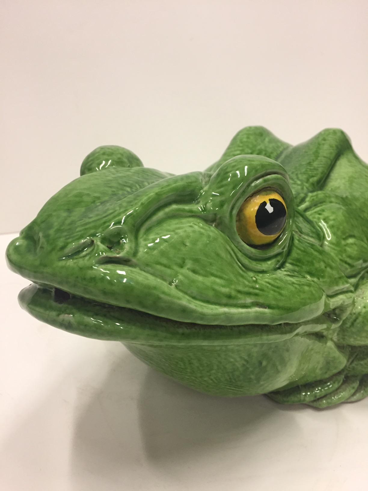 painting ceramic frog eyes