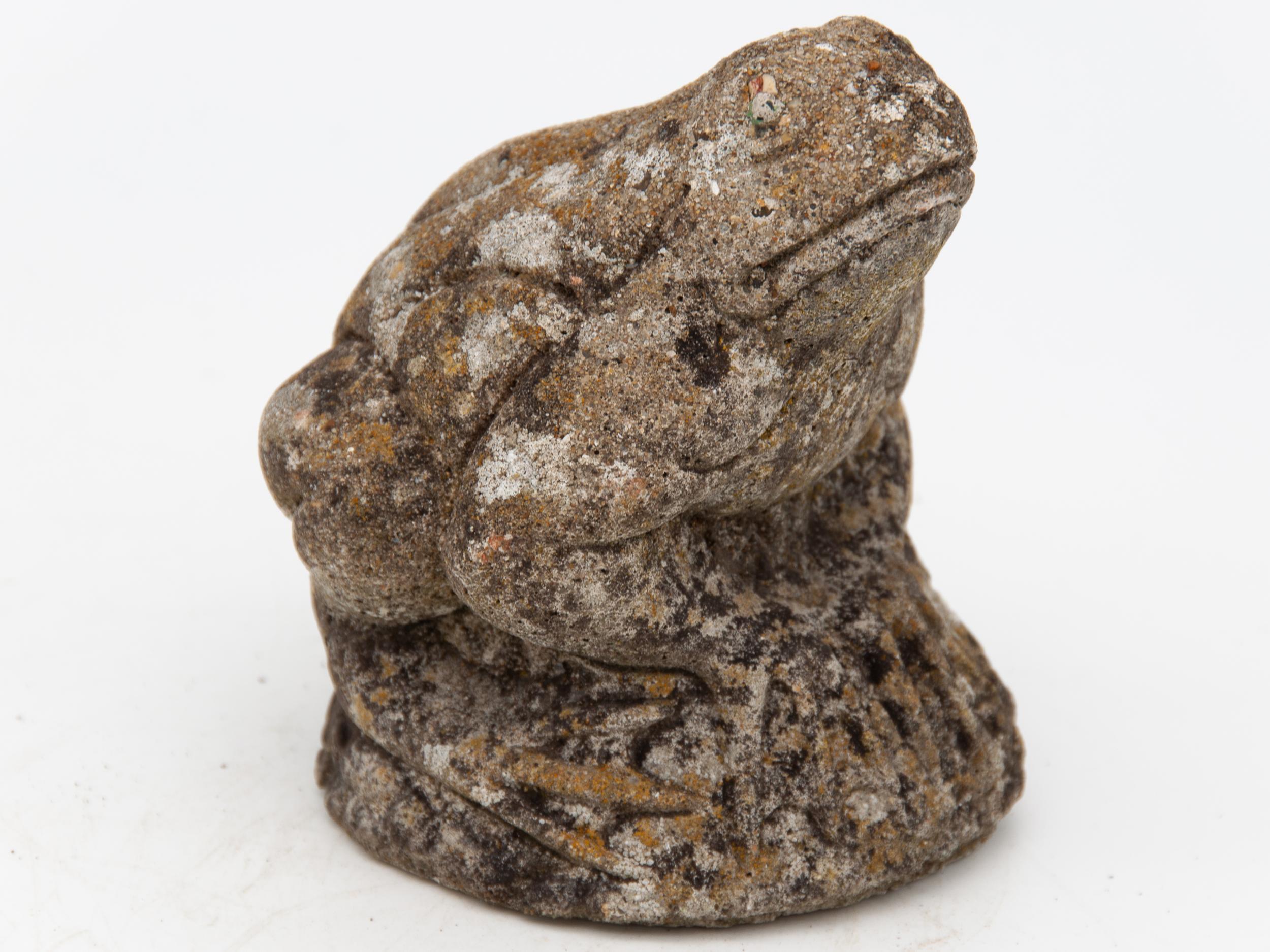 Cast Frog on Rock