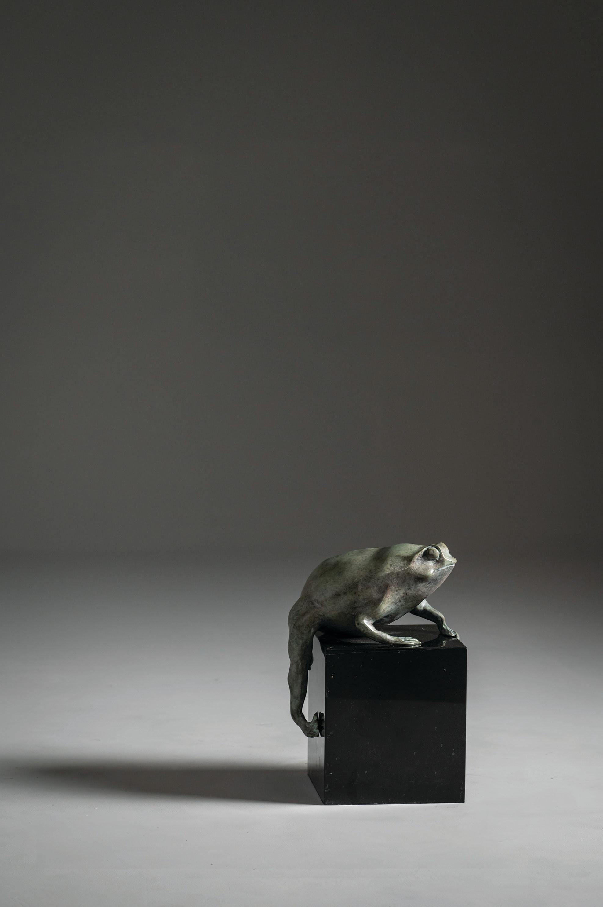 Animal Sculpture in stock and ready to ship.

The frog is made of cast bronze with vedigris patina. The base is a Nero Marquina marble base.

Dimensions:
w 23 x d 18.5 x h 35 cm
w 9.1 x d 7.3 x h 13.8 in

It can be ordered in additional finishes as