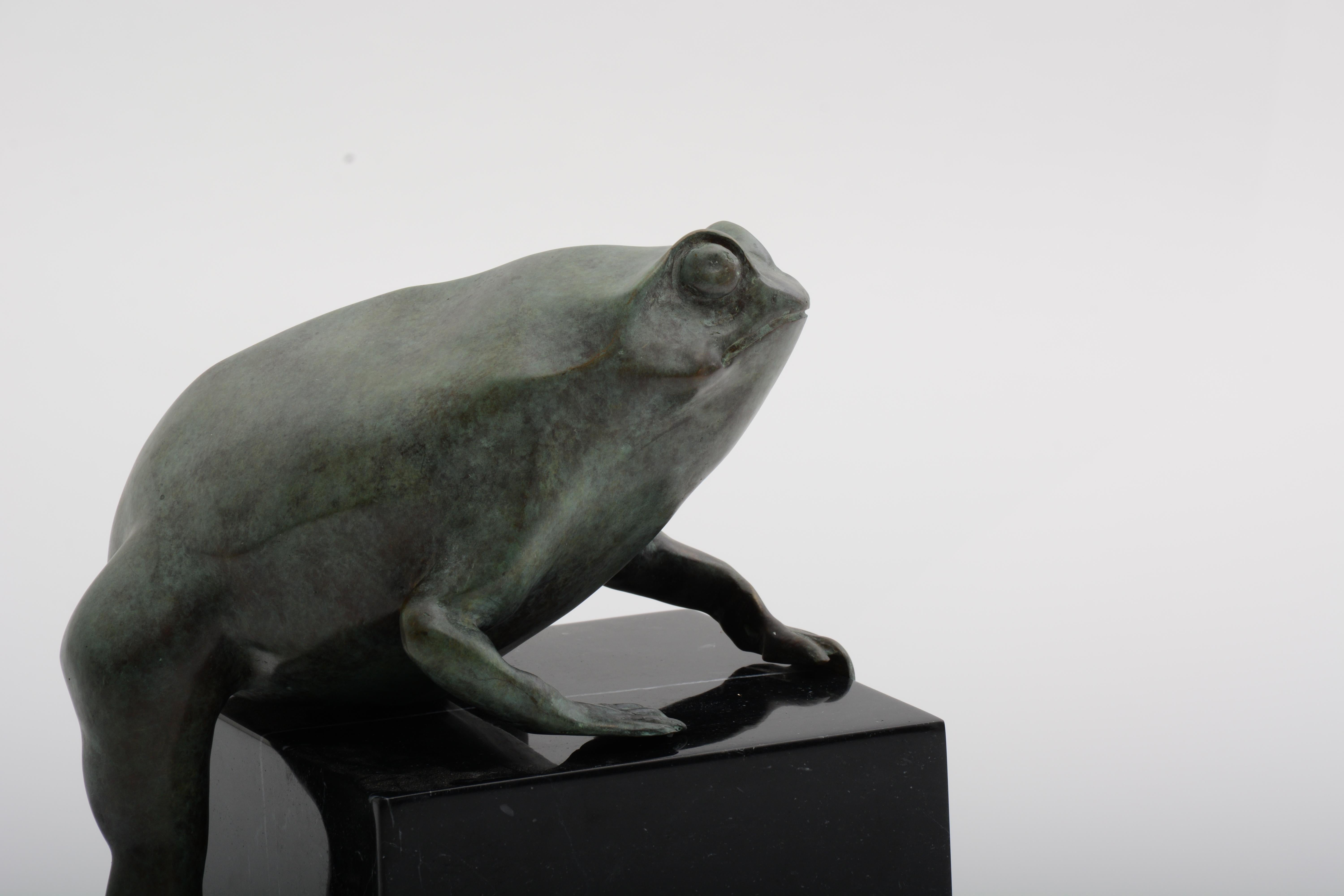 Cast Frog Sculpture in Verdigris Bronze and Black Marble by Elan Atelier (IN STOCK) For Sale