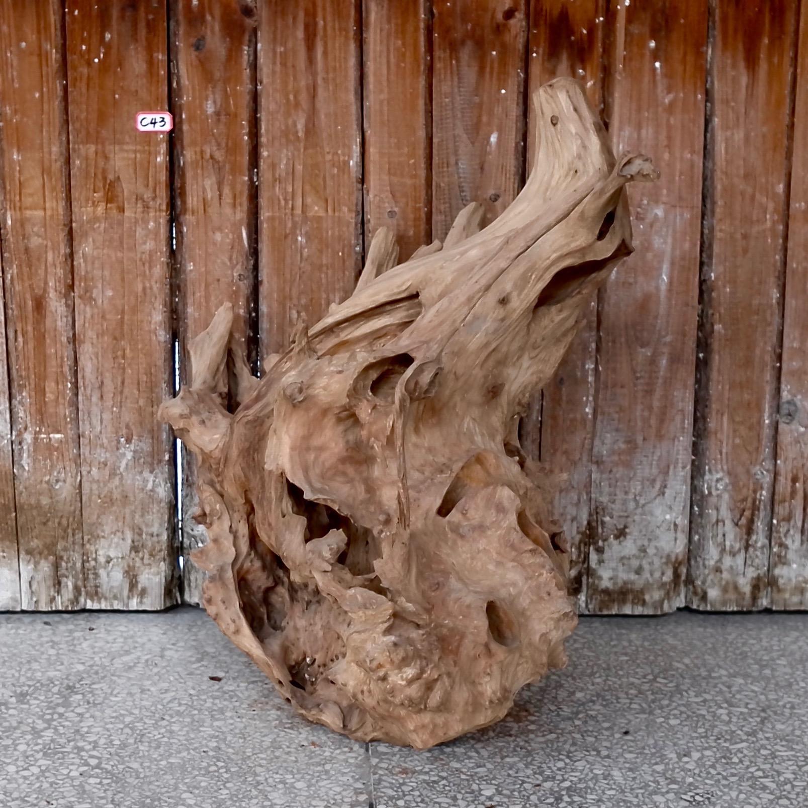 Chinese Frolicking Otter Natural Wood Sculpture