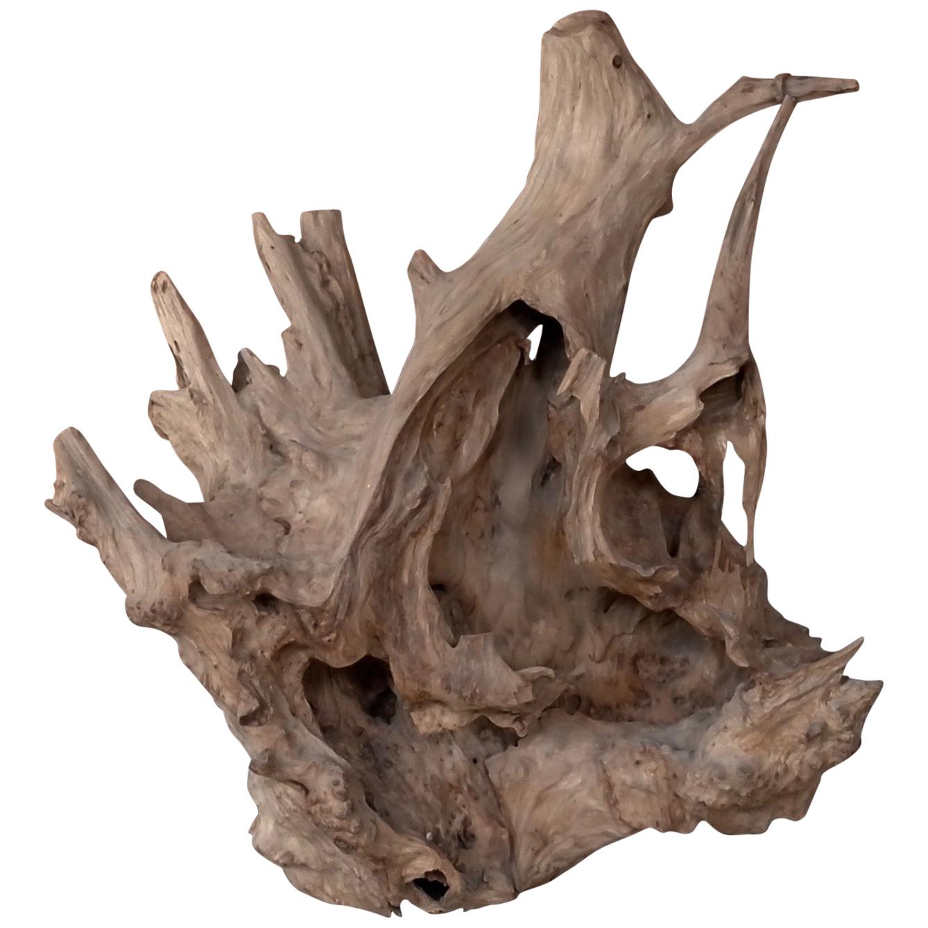 Frolicking Otter Natural Wood Sculpture