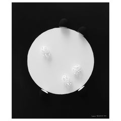 From Darkness, Light by Larisa Safaryan  Acrylic paint and eggshells on canvas