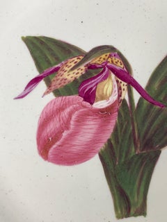 De la collection de Mario Buatta - Paire de plats botaniques en faïence