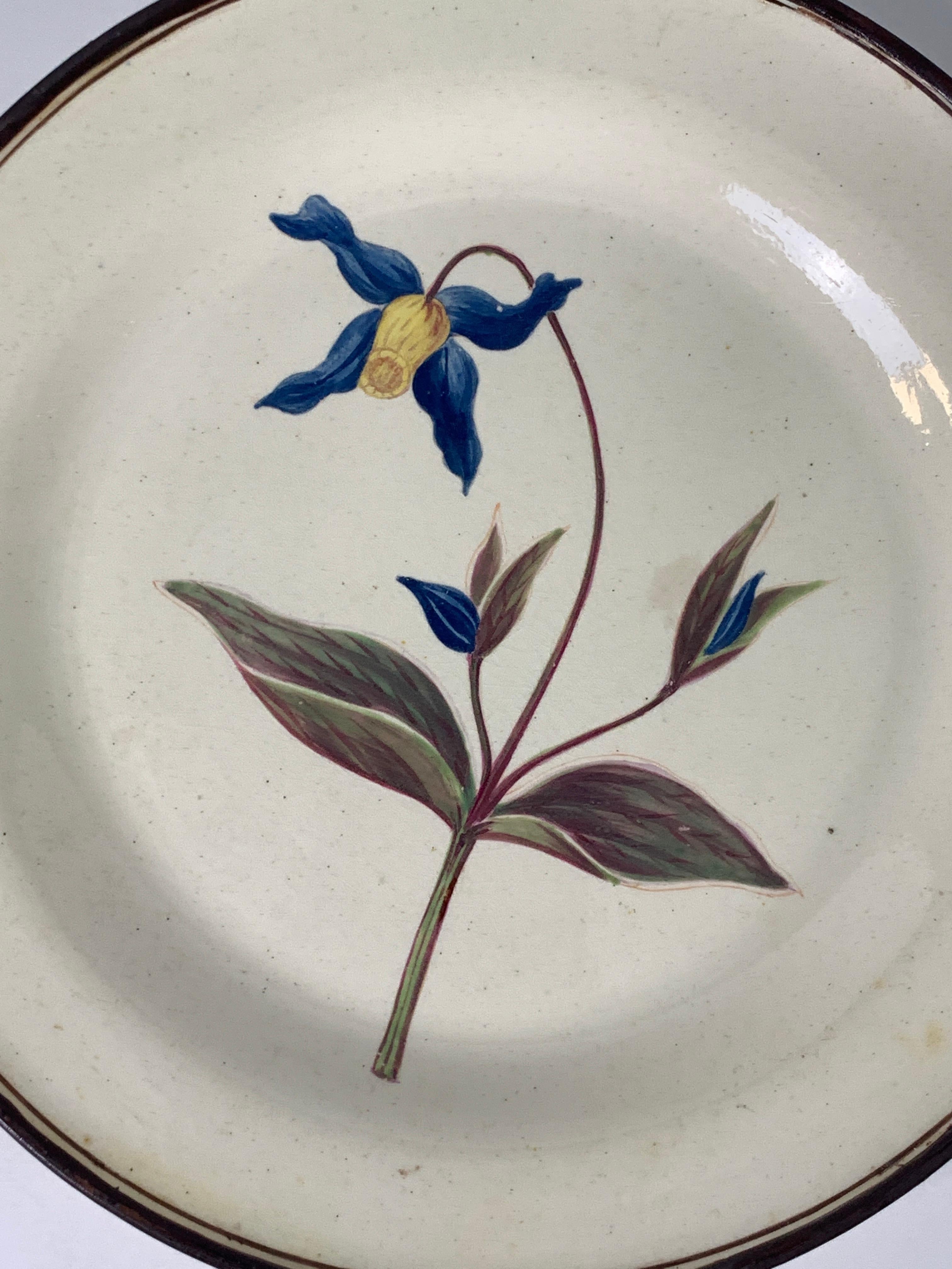 Welsh From the Collection of Mario Buatta Pair of Botanical Dishes Creamware