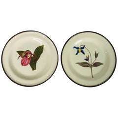 From the Collection of Mario Buatta Pair of Botanical Dishes Creamware