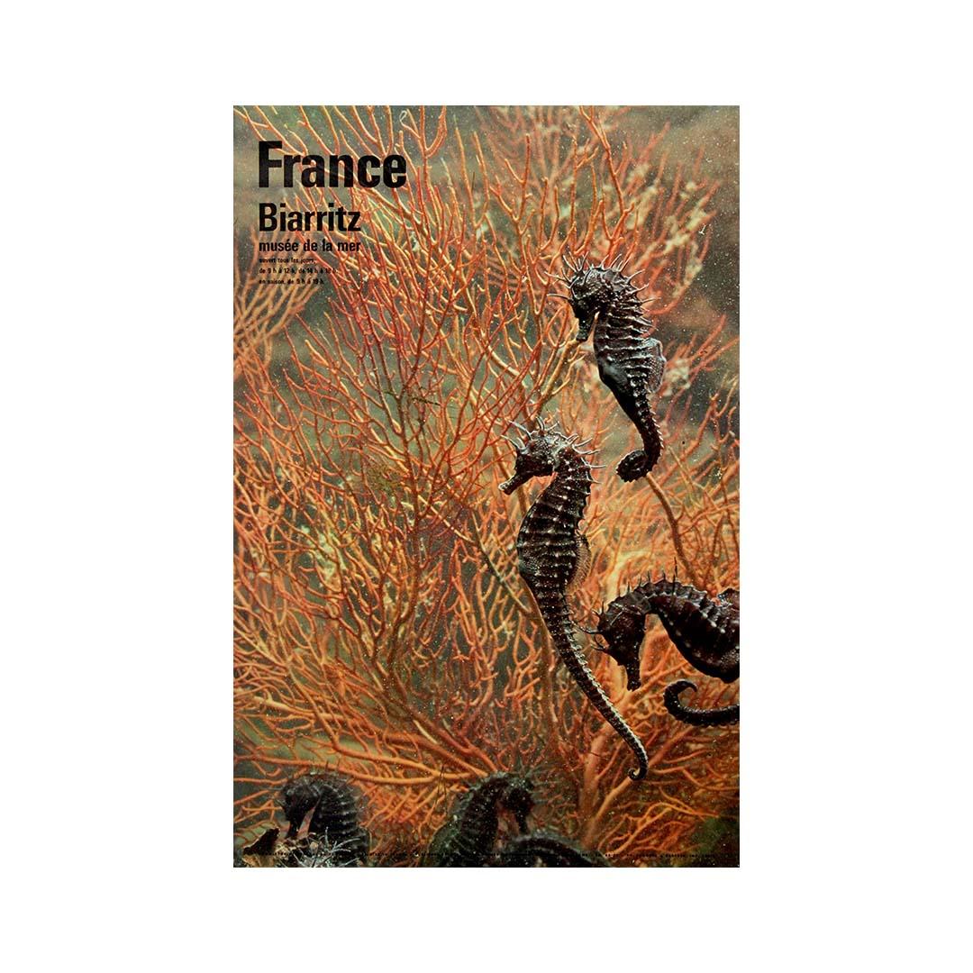 Manifesto di viaggio originale del 1966 di Fronval - Biarritz - Musée de la mer in vendita 1