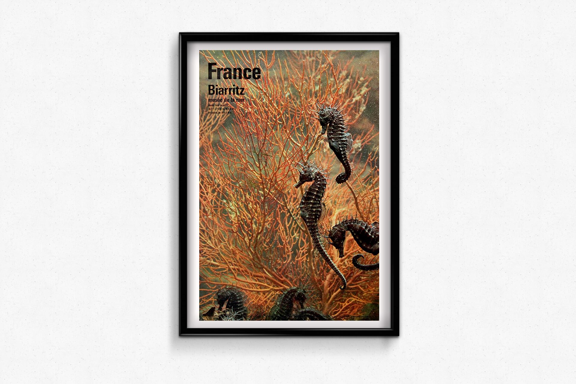 Manifesto di viaggio originale del 1966 di Fronval - Biarritz - Musée de la mer in vendita 3
