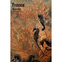 Manifesto di viaggio originale del 1966 di Fronval - Biarritz - Musée de la mer