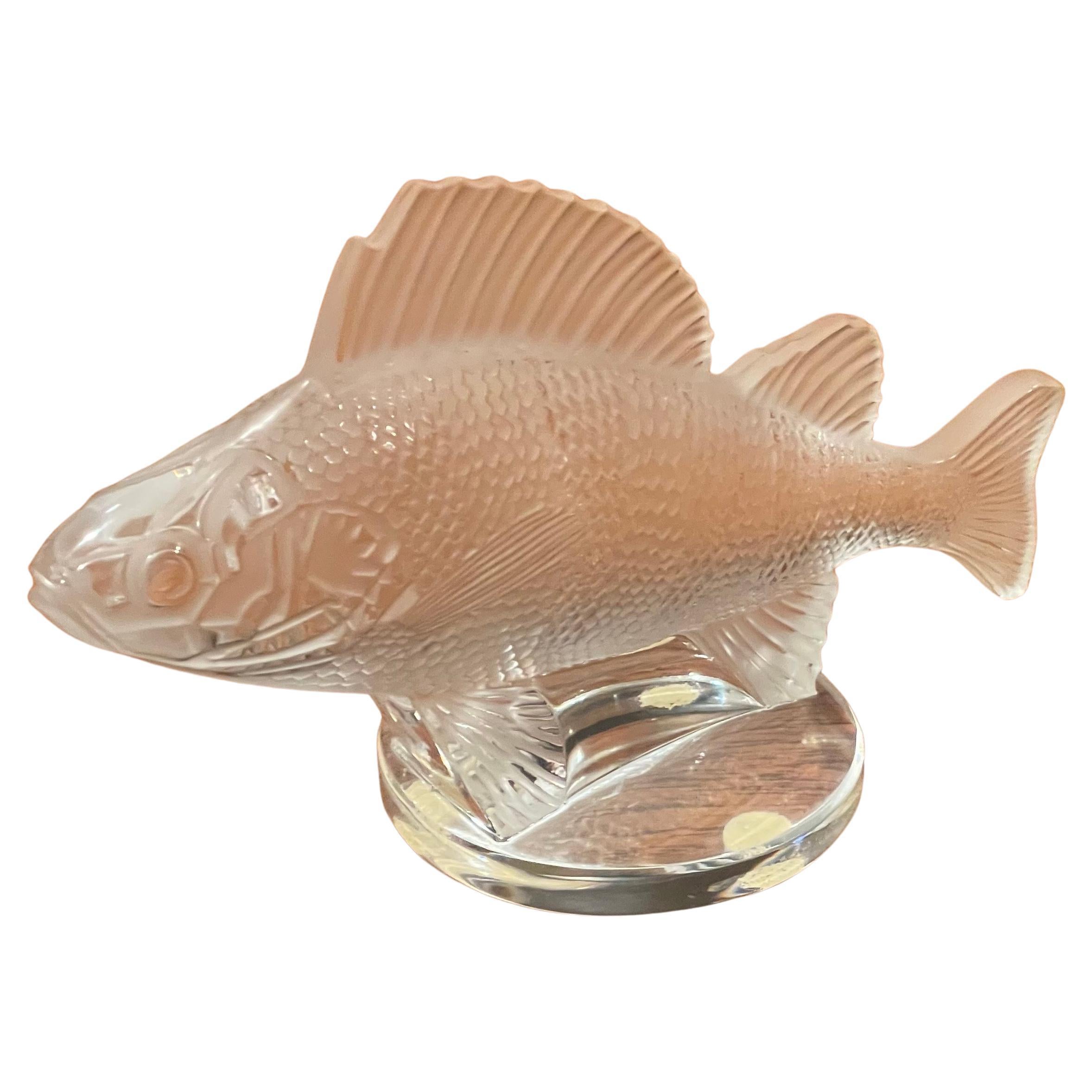 A beautiful frosted crystal perch fish sculpture on base by Lalique of France , circa 1990s. This gorgeous piece is in very good vintage condition with no chips or cracks and measures 6.25