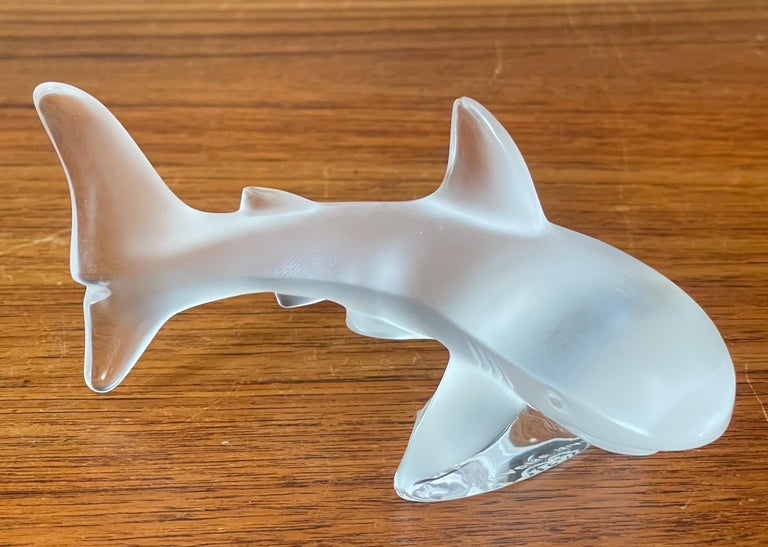 Verre Original Requin • Boutique du Cocktail