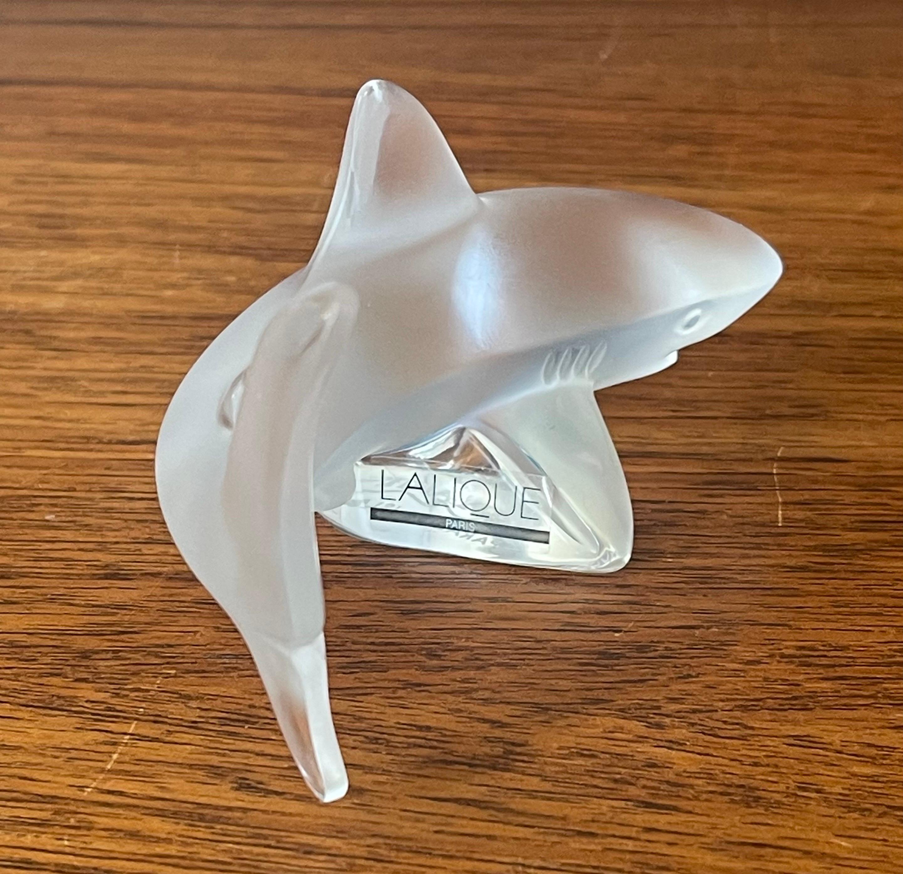 sharks in france