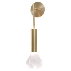 Frosted Glass and Brass Dew Wall Lamp by SkLO