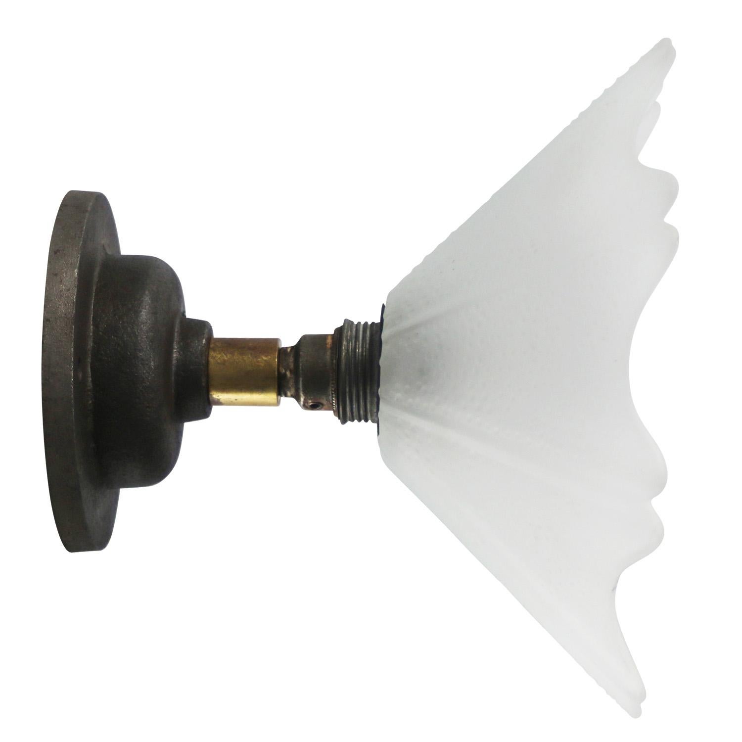 Dutch Frosted Glass Cast Iron Brass Sconces Wall Lamps For Sale