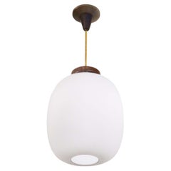 Frosted Glass Pendant with Wood Detailing