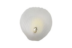 Frosted Glass Shell and Brass Wall Sconces