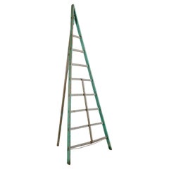 Fruit Picking Ladder from Italy