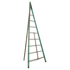 Vintage Fruit Picking Ladder from Italy