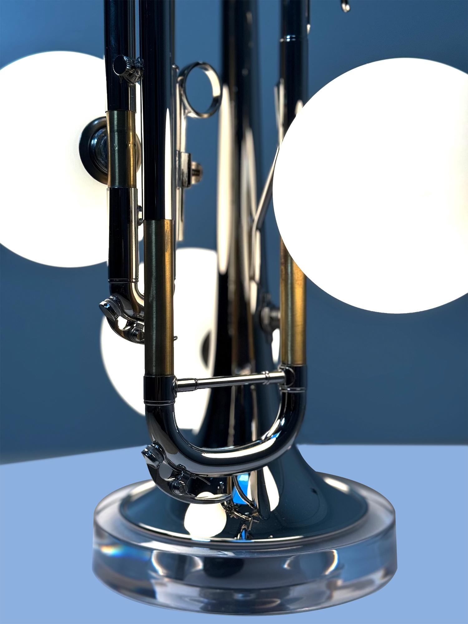 Il corpo fruttifero di un fungo non si forma per intenzione, ma come risposta, un gesto involontario di una rete a lungo nascosta. Il micelio, tessuto sotto la superficie, assorbe, si espande, resiste. Quando si verificano sottili cambiamenti nelle