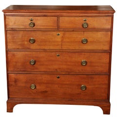 Antique Fruitwood Chest of Drawers
