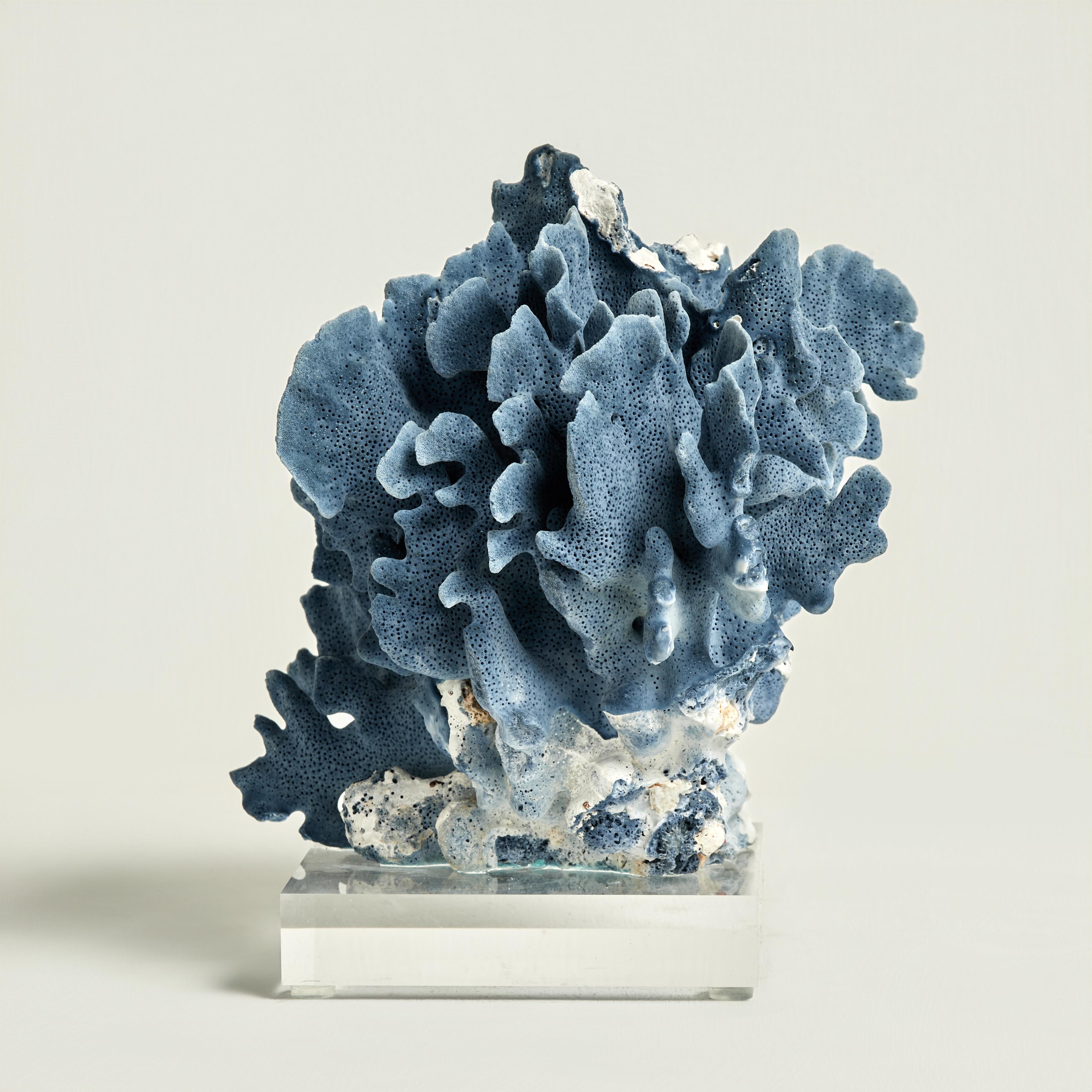 Sculptures ou assemblages uniques en leur genre, fabriqués à la main avec du corail bleu organique dans une composition dramatique inspirée de l'océan, présentés sur des bases en lucite pour mettre en valeur les éléments sculpturaux. Conçu et