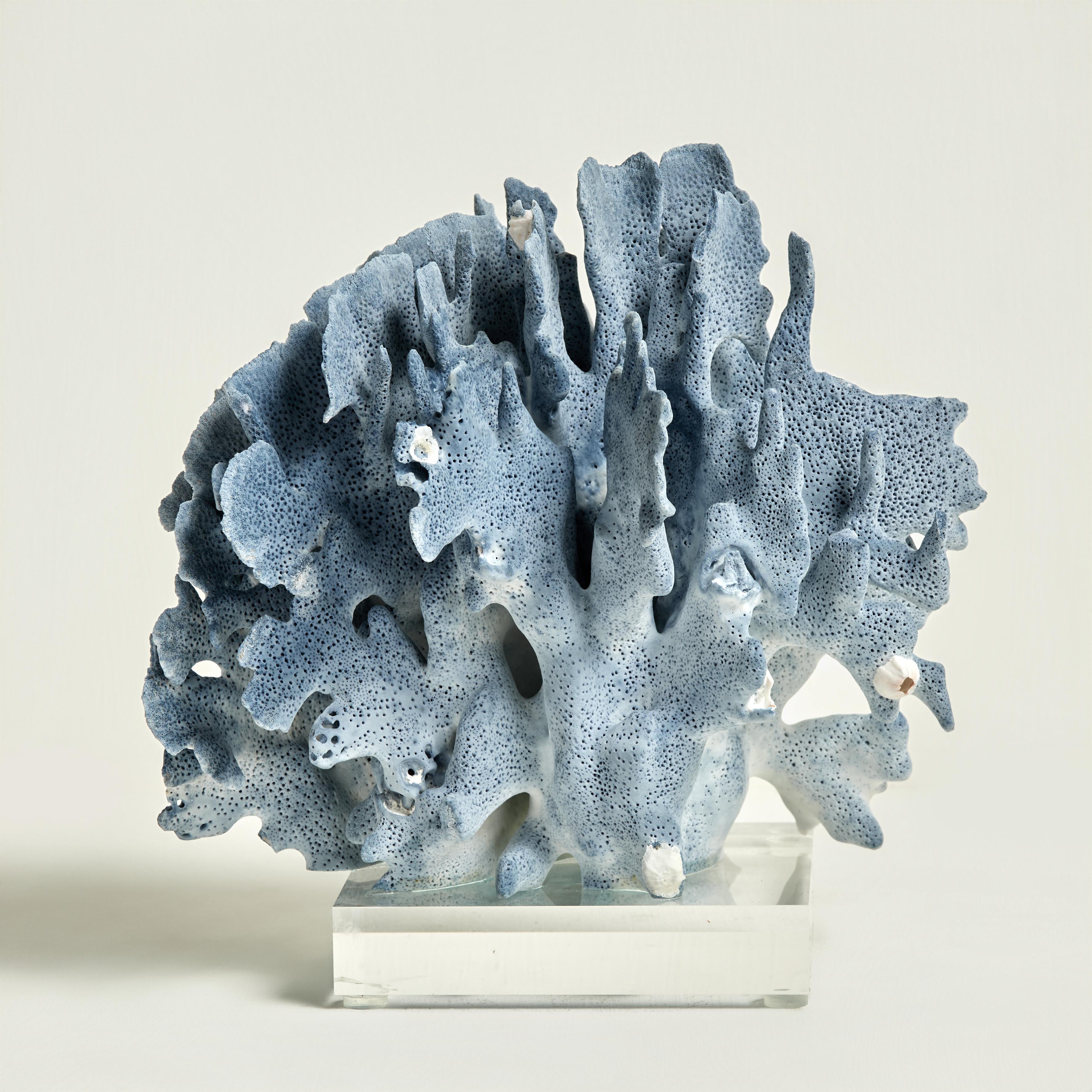 Sculptures en corail bleu sur Lucite en vente 4