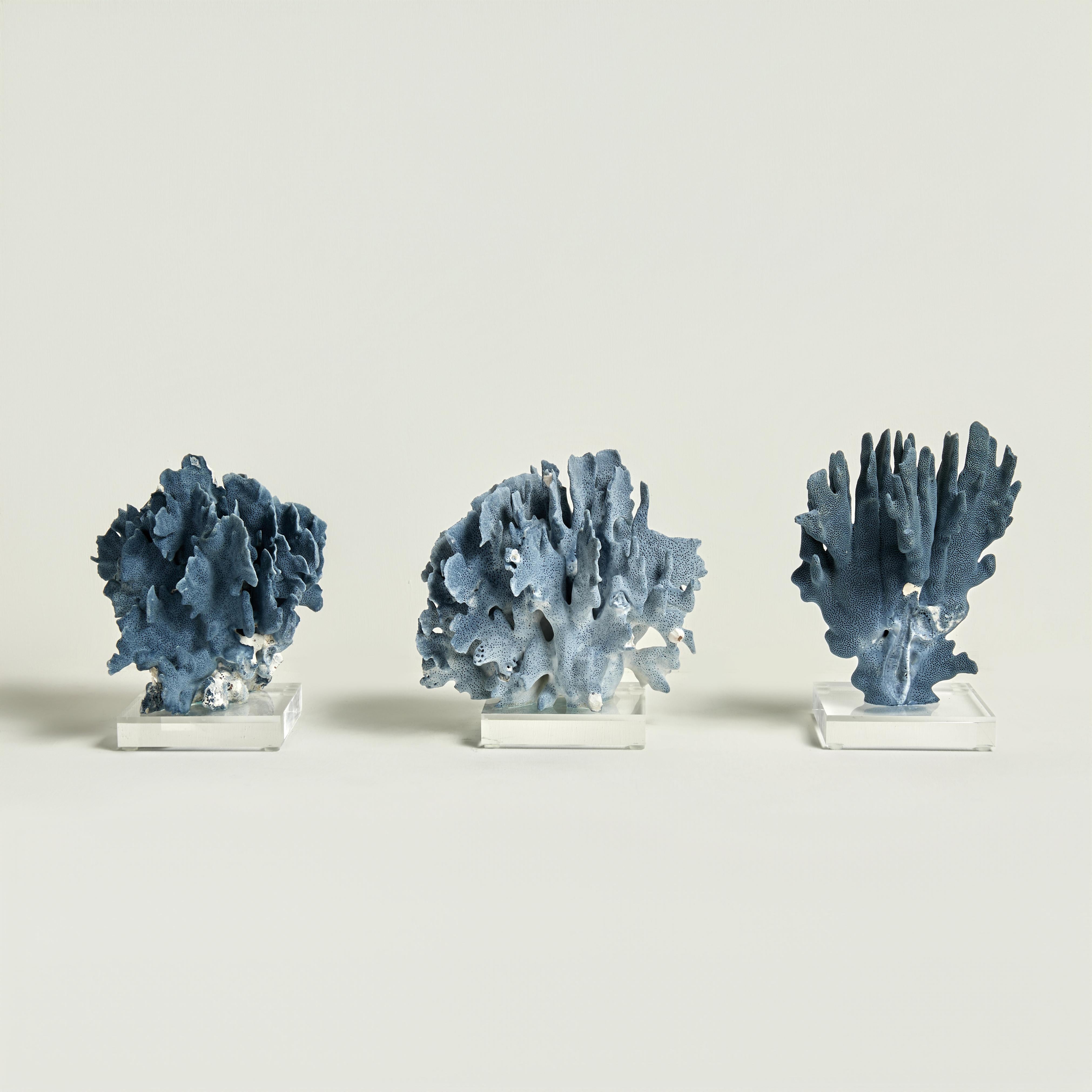 Abstract Sculpture F.S. Henemader - Sculptures en corail bleu sur Lucite